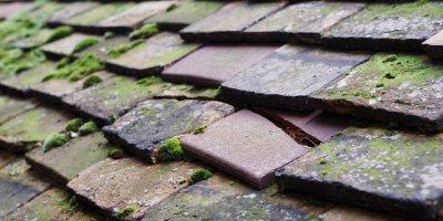Tunstall roof repair costs